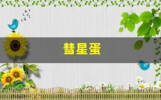 彗星蛋(彗星蛋里边的图片)