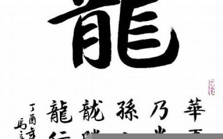 12属相(12属相金木水火土对照表)