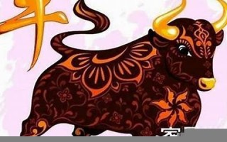 牛年运势2021年运势12生肖(牛年运势2021年运势12生肖龙幸运色)