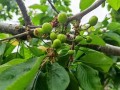 4月初8(4月初8出生的人怎么样)