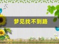 梦见找不到路(梦见找不到路回家)