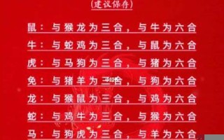 12生肖配对