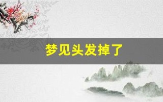 梦见头发掉了(梦见头发掉了一大片)