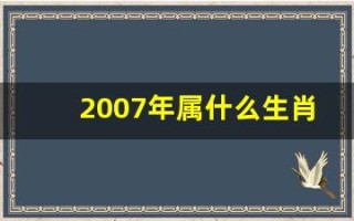 2007年属什么生肖(2007年属什么生肖什么命)