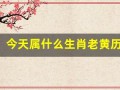今天属什么生肖老黄历(今天属什么生肖老黄历属什么)