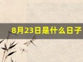 8月23日是什么日子(8月23日是什么日子 百度百科)