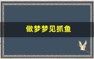 做梦梦见抓鱼(做梦梦见抓了一条大鱼)