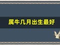 属牛几月出生最好(属牛几月出生最好男孩)
