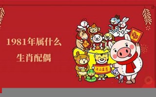 1981年属什么生肖(1981年属什么生肖配对最好)