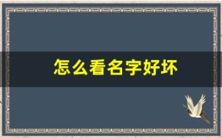 怎么看名字好坏(如何看名字好坏)