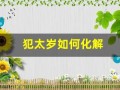 犯太岁如何化解(犯太岁如何化解最好方法)