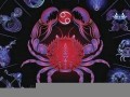 巨蟹座与12星座配对(巨蟹和十二星座)