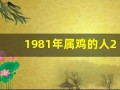 1981年属鸡的人2013年运程(1981年的鸡人2021年运势)