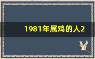 1981年属鸡的人2013年运程(1981年的鸡人2021年运势)
