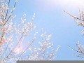 3月27日黄道吉日查询(查日子黄道吉日)