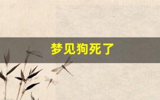 梦见狗死了(梦见狗死了又活过来是什么意思)
