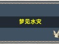 梦见水灾(梦见水灾所有地方都被淹没了)