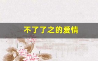 不了了之的爱情(有一段不了了之的回忆)