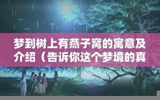 梦到树(梦到树上结满成熟果实)