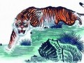 属虎的人2011年运程(属虎的人2011年多大)