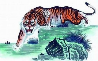 属虎的人2011年运程(属虎的人2011年多大)