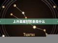 什么是上升星座(什么是上升星座什么意思)