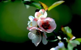 12月6号是什么日子(12月6号是什么日子黄道吉日)