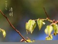 二月廿六(二月廿六是什么星座)