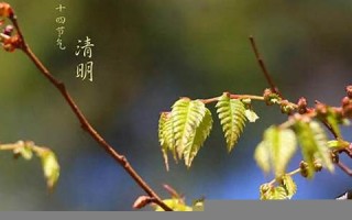 二月廿六(二月廿六是什么好日子)