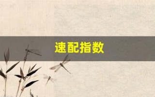 速配指数(速配指数是什么意思)