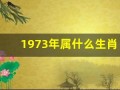 1973年属什么生肖(1973年属什么生肖属相)