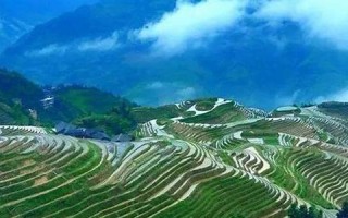 5月1(5月1日是什么星座的)