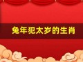兔年犯太岁的生肖(兔年犯太岁的生肖怎么化解)