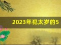2023年犯太岁的5个属相怎么化解(2023年犯太岁的4大生肖是什么意思)