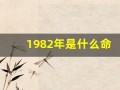 1982年是什么命(1982年是什么命格)