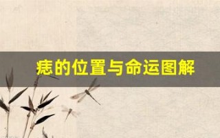 痣的位置与命运图解(手背上的痣的位置与命运图解)