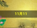 11月11(11月11日是光棍节吗)