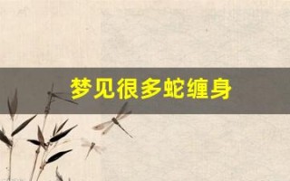 梦见很多蛇缠身(梦见很多蛇缠身上有什么预兆)