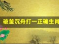 破釜沉舟打一正确生肖(破釜沉舟打一正确生肖和数字)