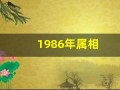 1986年属相(1986年属相今年多大了)