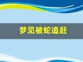 梦见被蛇追赶(梦见被蛇追赶咬)