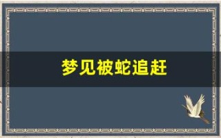 梦见被蛇追赶(梦见被蛇追赶咬)