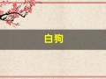 白狗(白狗秋千架)