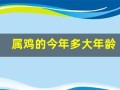 属鸡的今年多大年龄(属羊的今年多大年龄)