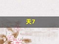 天7