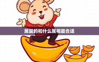 属鼠和什么属相最配(1984年属鼠和什么属相最配)