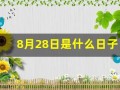 8月28日是什么日子(8月28日是什么日子为什么默哀)