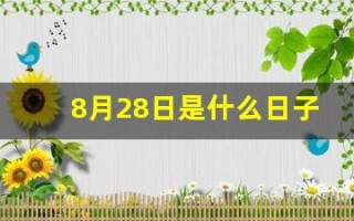 8月28日是什么日子(8月28日是什么日子为什么默哀)