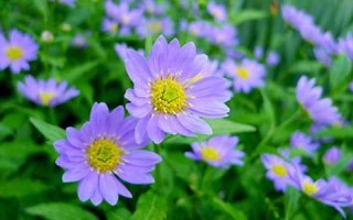 4月2日(1999年4月2日)