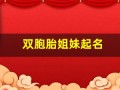 双胞胎姐妹起名(双胞胎姐妹起名四字成语abac)